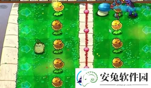 PVZ杂交版益智模式两面夹击通关图文攻略