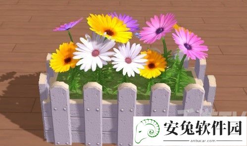 创造与魔法花仙子在哪