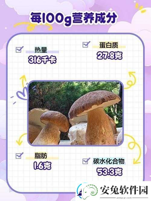 珊瑚岛牛肚菌获取指南