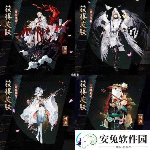 阴阳师皮肤穿戴方法